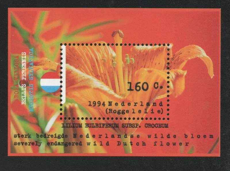 Netherlands 1994 Wild Flowers. Orange Lily Mini Sheet unmounted mint. SG MS 1722 Cat £3,50 (2012)