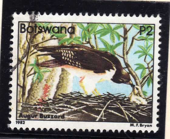 BOTSWANA 1982. P2 BIRD DEFINITIVE "AUGUR BUZZARD" VFU. SG 532.CAT 17 POUNDS.