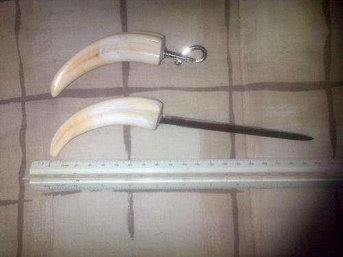 Warthog tusk letter opener and key ring