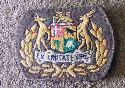 Nutria WO1 Rank (only one)