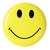 SMILEY FACE CAR DVR CAMERA
