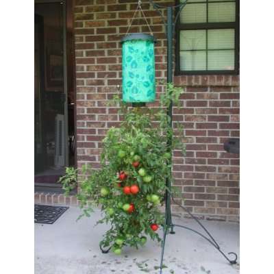 Tomato or Veggie indoor planter