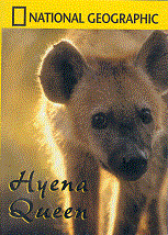 Hyena Queen DVD by National Geographic