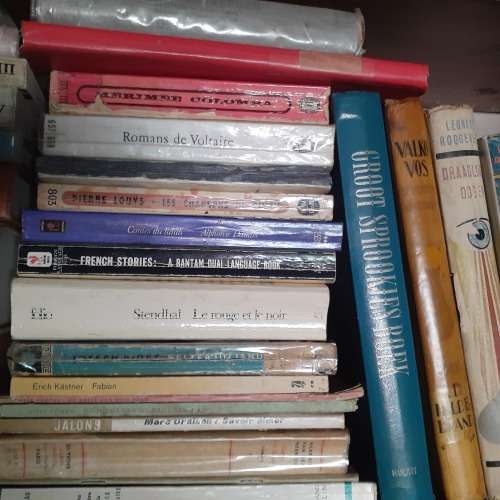French and German books