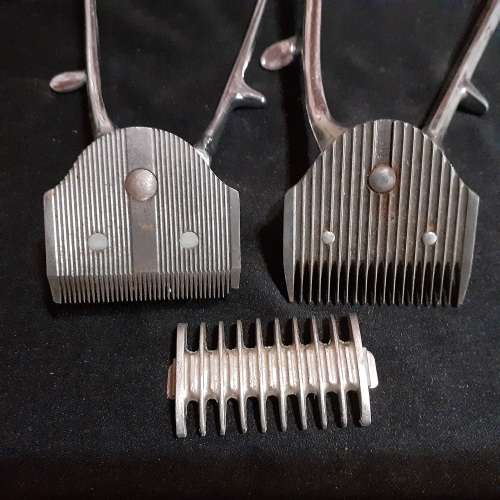 Hand Clippers (X2)