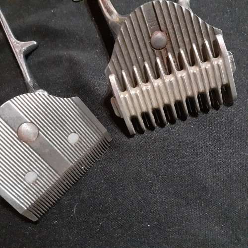 Hand Clippers (X2)