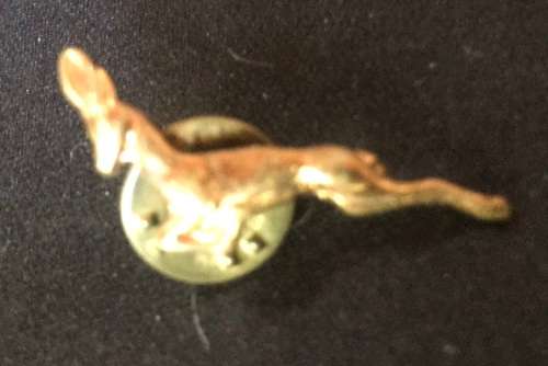 Springbok Rugby Memorabilia