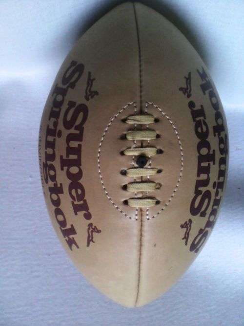 Super Springbok Rugby Balls **SALE***!!