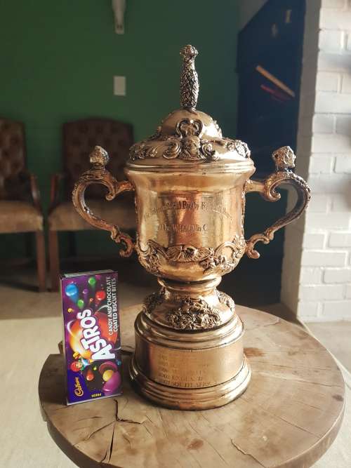 Replica Rugby World Cup Trophy
