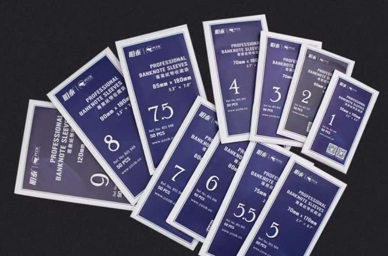 100 x Banknote Sleeve #1 55x110mm