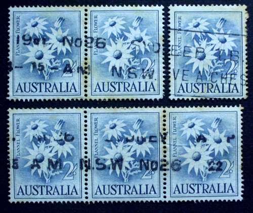 Stamp Australia 1959 Flannel Flower used