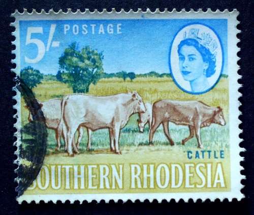 Stamp South Rhodesia  cattle 5s used