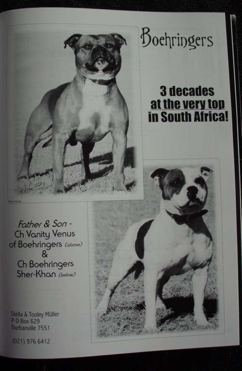 Book `Stafford World` First Edition 2001 hc