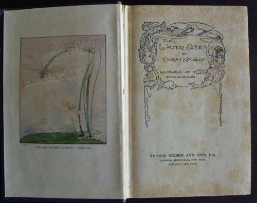 Book-The Waterbabies-Charles Kingsley - Undated B