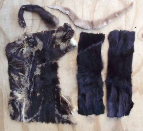 Animal skin pieces various