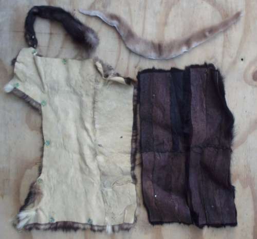 Animal skin pieces various