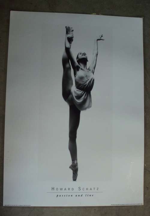 Print - Howard Schatz laminated