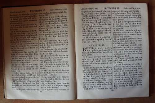 The Holy Bible - The British and Foreign Bibles - Leather - 1800s