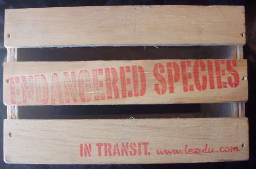 Wooden box for securing insects/animals/birds.