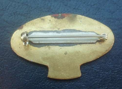 Pin Badge - MOTHWA 1977