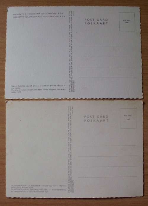 Postcards Ostrich Chicks/Racing x 3 - Vintage unused