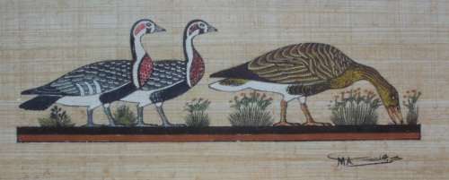 Papyrus - Ducks framed small