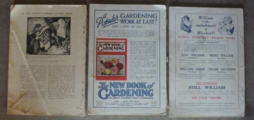 Magazines - The Worlds Library of Best Books - 1924/5 Rare!