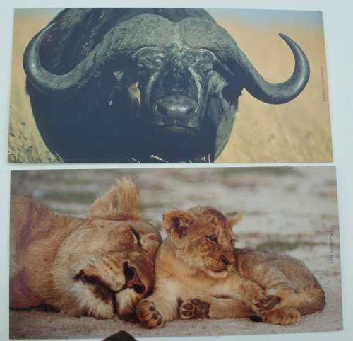 Postcards x 2 RSA 1982 unused XL