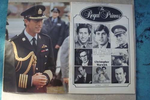 Book - The Royal Princes - Christopher Warwick - 1982