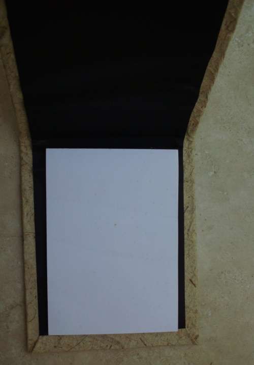 Genuine Ostrich Skin Notebook Vintage + Handmade Notebook - unused