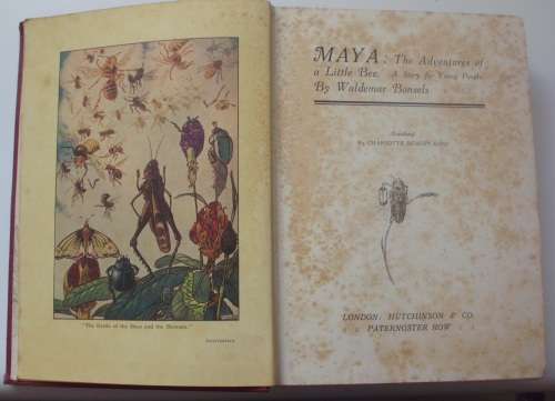 Book - Maya - The Adventures Of A little Bee - Waldemar Bonsels