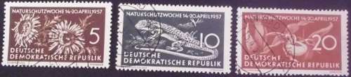 Stamp - East Germany - DDR - Nature - 1953 - used