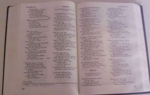 Bible - The Holy Bible - New Int. Version - 2001 - NIV