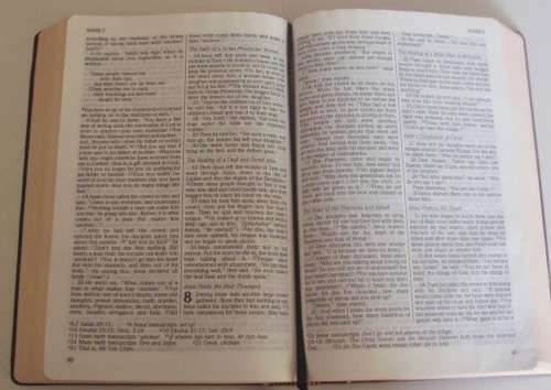 Bible - The Holy Bible - NIV + Concordance - 1989