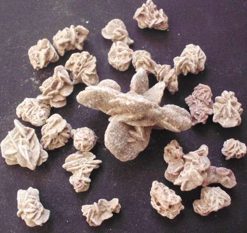 Desert Roses x 26 - Selenite - Small/Med - B