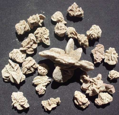 Desert Roses x 26 - Selenite - Small/Med - B