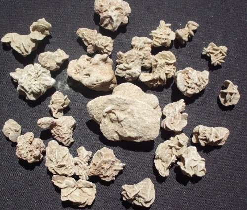 Desert Roses x 26 - Selenite - Small/Med - D