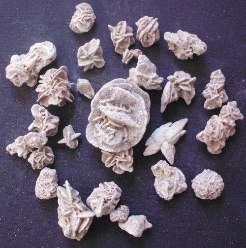 Desert Roses x 26 - Selenite - Small/Med - E