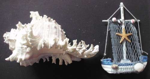 Seashell + Ship - Nice Condition