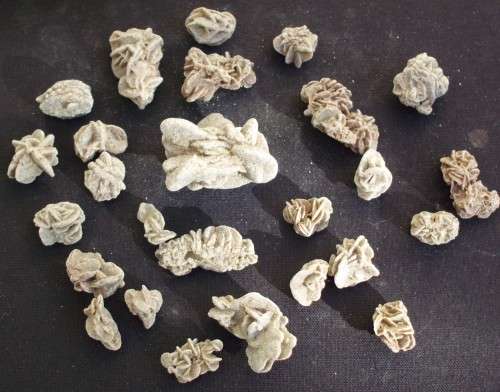 Desert Roses x 26 - Selenite - Small/Med - L