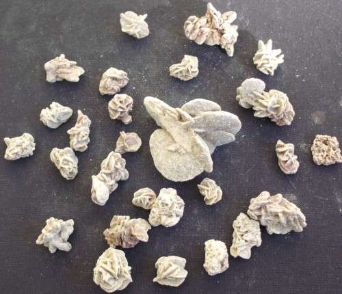 Desert Roses x 26 - Selenite - Small/Med - M