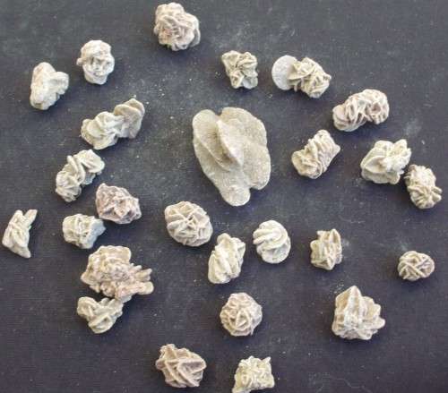 Desert Roses x 26 - Selenite - Small/Med - N
