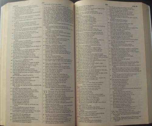 Bible - The Holy Bible - USA - 2007