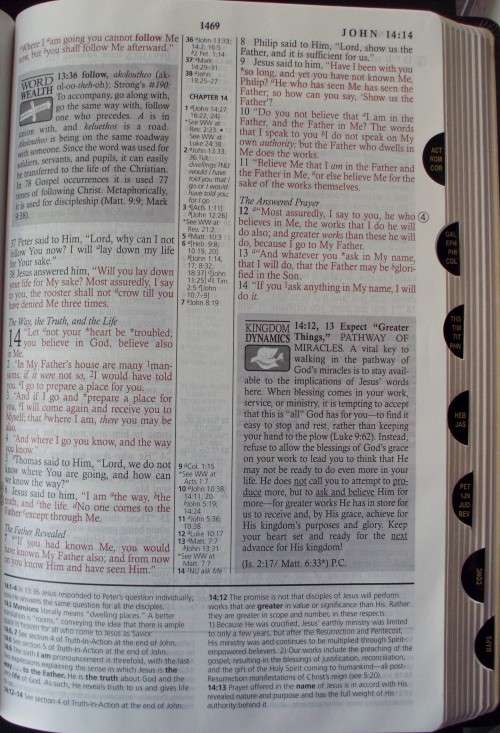 Bible - New Spirit Filled Life Bible  - NKJV - 2002