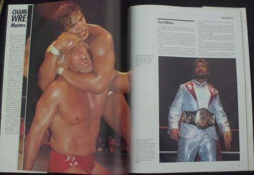 Book - Championship Wrestling - Masters Of Mayhem - 1991