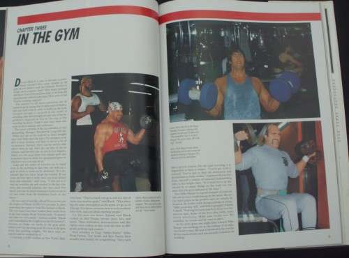 Book - Championship Wrestling - Masters Of Mayhem - 1991