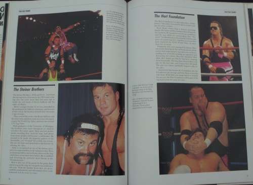 Book - Championship Wrestling - Masters Of Mayhem - 1991