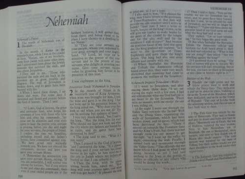 Bible - The Holy Bible - NIV - 2001