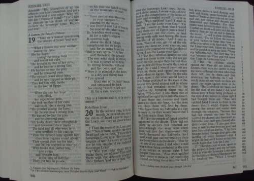 Bible - The Holy Bible - NIV - 2001