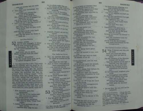 Bible - The Holy Bible - NRSV - The Catholic Edition - 1993